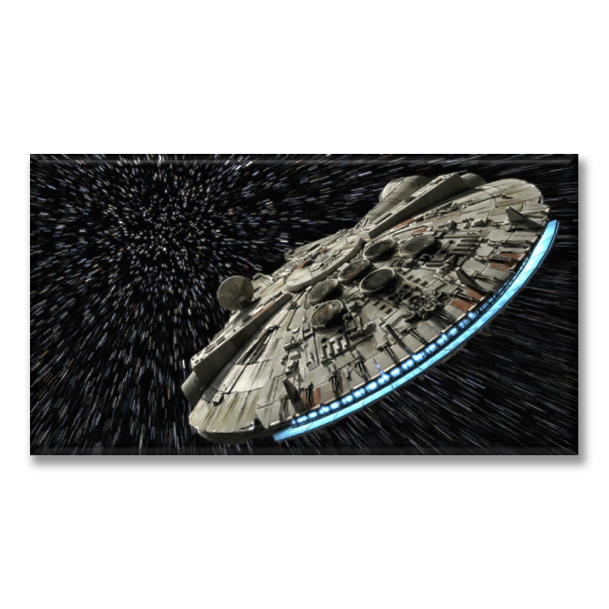 Cuadro Canva Decorativo Falcon 30X60 cm