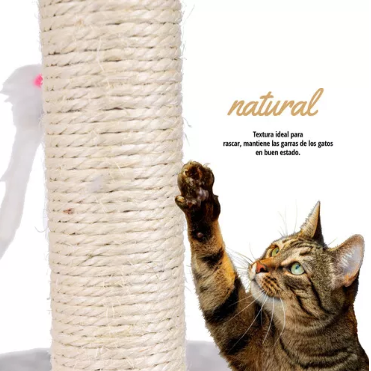 Rascadores Para Gatos Arbol Torre Rascador Gris