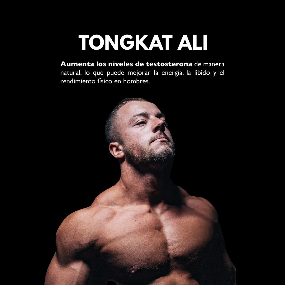 BDM LAB Shilajit Puro del Himalaya 180 Cápsulas con Tongkat Ali, Maca y L-Arginia, Suplemento para Vitalidad y Salud Sexual