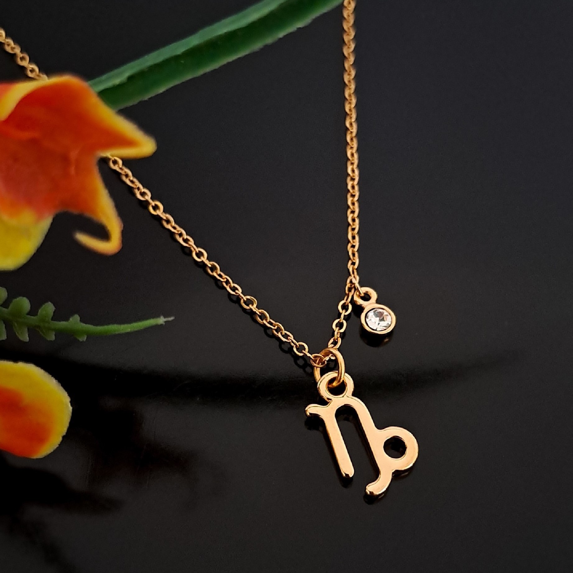 Collar Signo Zodiacal Capricornio con Cristal en Chapa De Oro Premium
