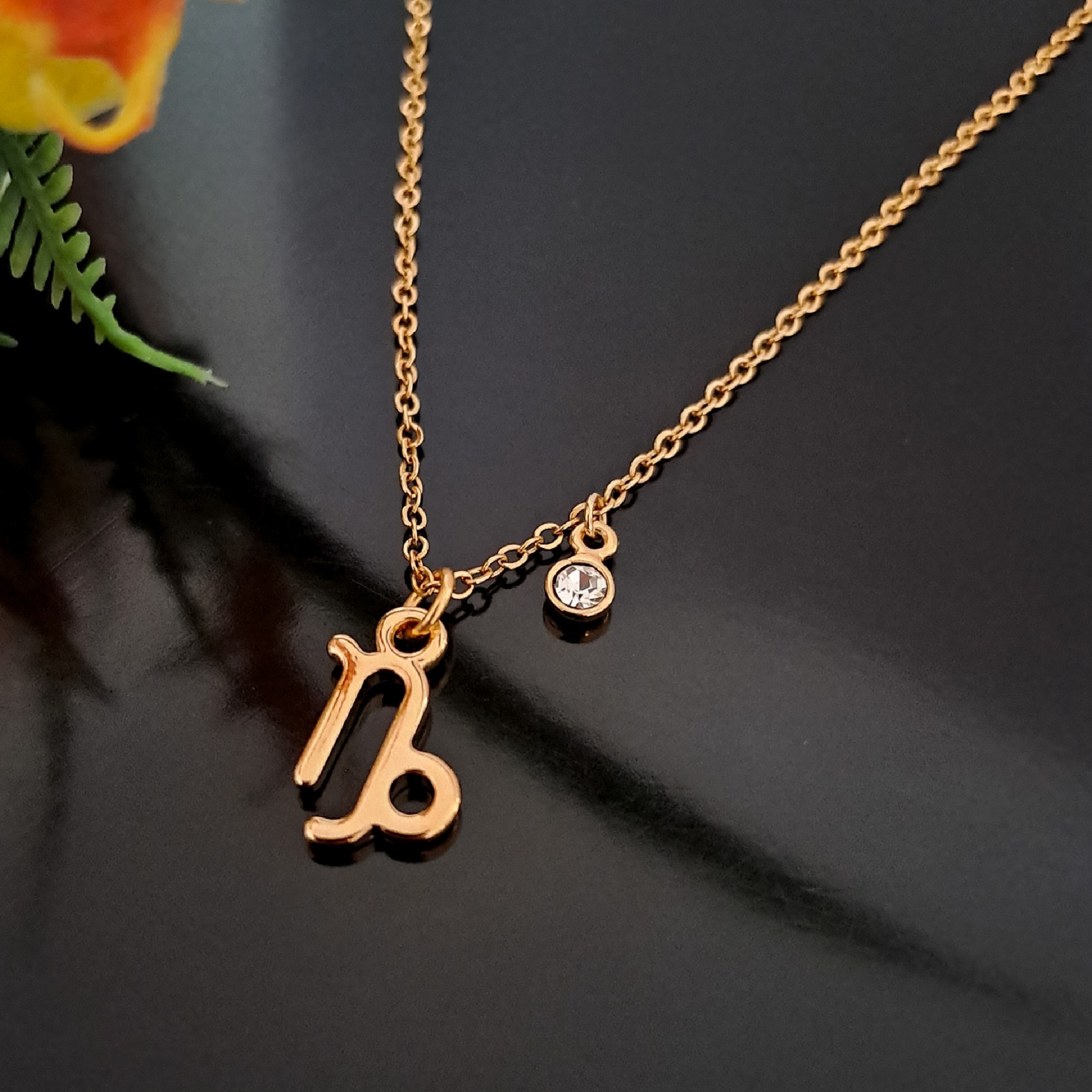 Collar Signo Zodiacal Capricornio con Cristal en Chapa De Oro Premium
