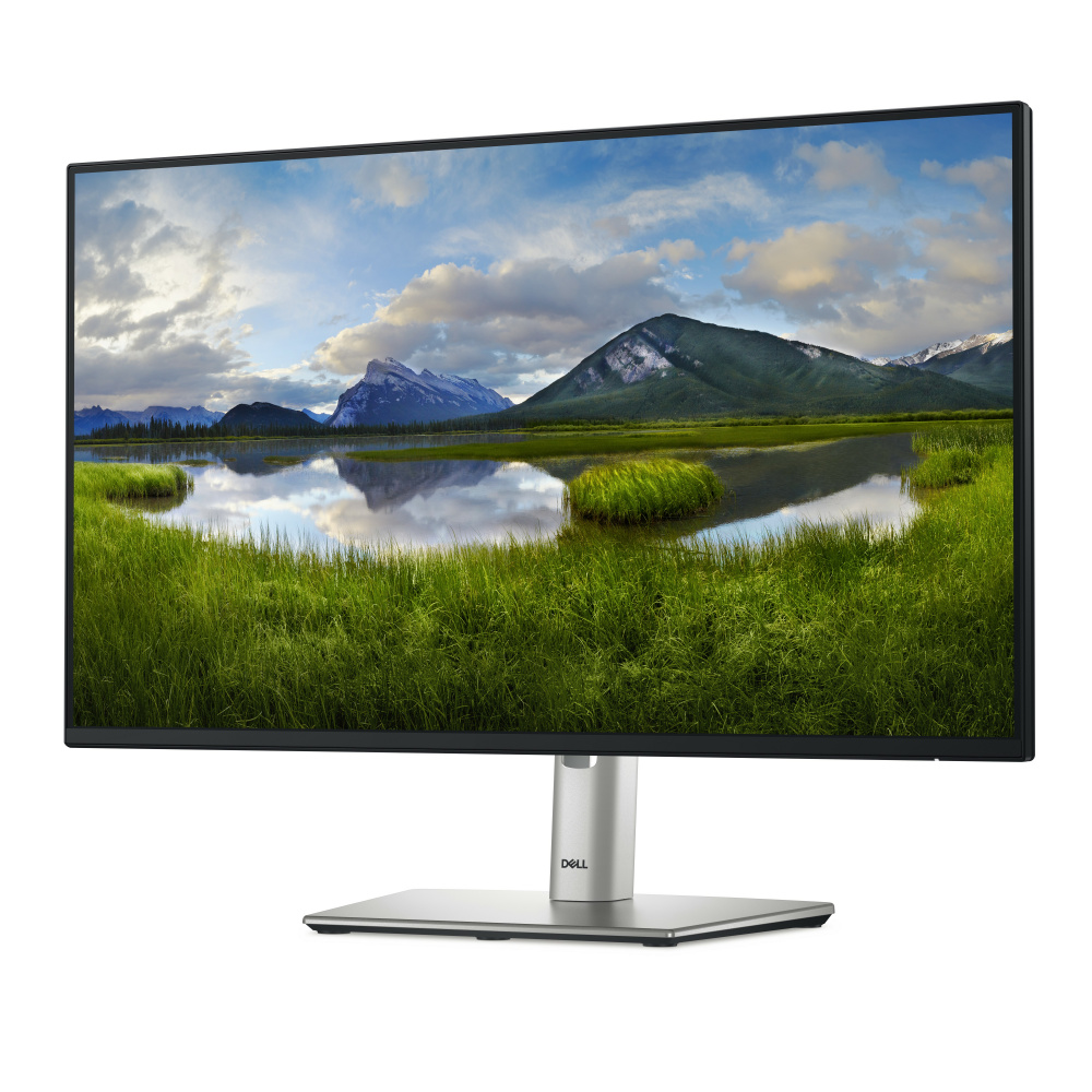Monitor Dell P2425H LCD 24", 1920x1080 Full HD, 100Hz, HDMI/DisplayPort, Negro.