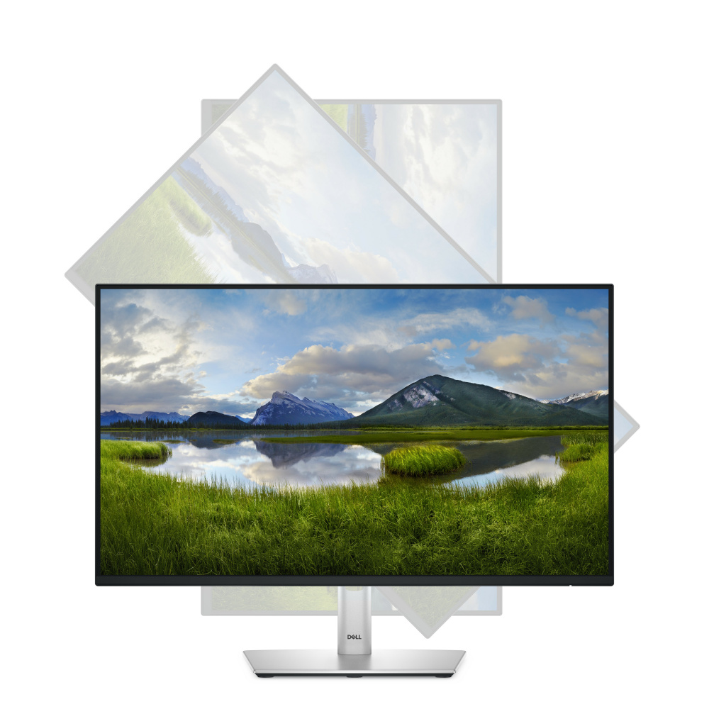 Monitor Dell P2425H LCD 24", 1920x1080 Full HD, 100Hz, HDMI/DisplayPort, Negro.