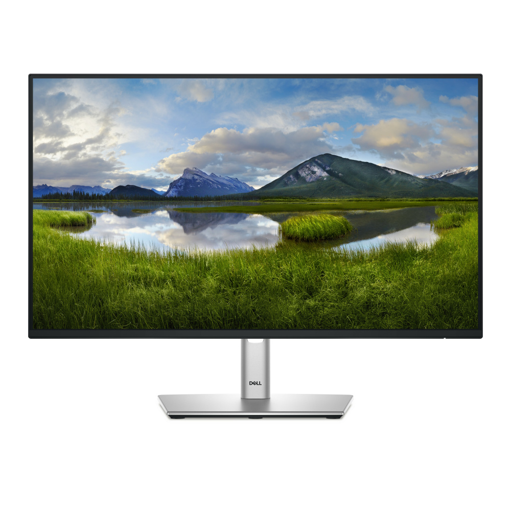 Monitor Dell P2425H LCD 24", 1920x1080 Full HD, 100Hz, HDMI/DisplayPort, Negro.