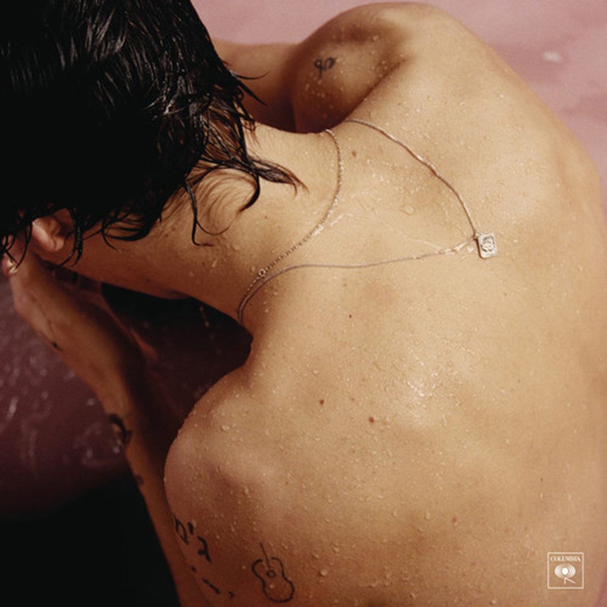 Harry Styles Lp Vinyl.