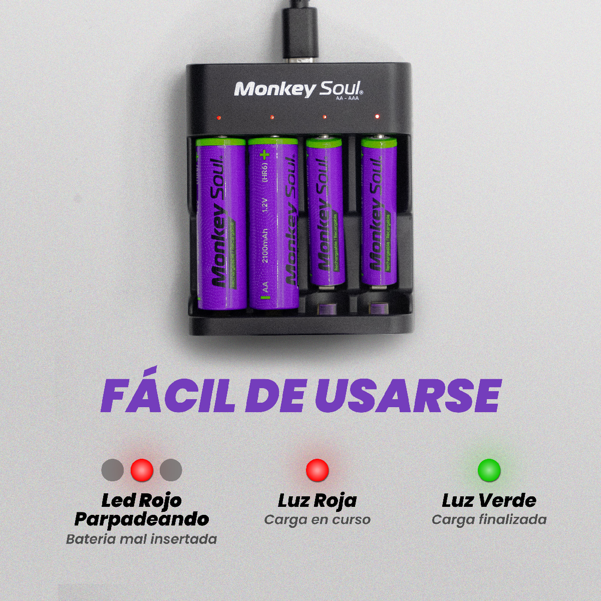 Cargador Pilas Baterías + 8 AA Recargables Monkey Soul USB-C