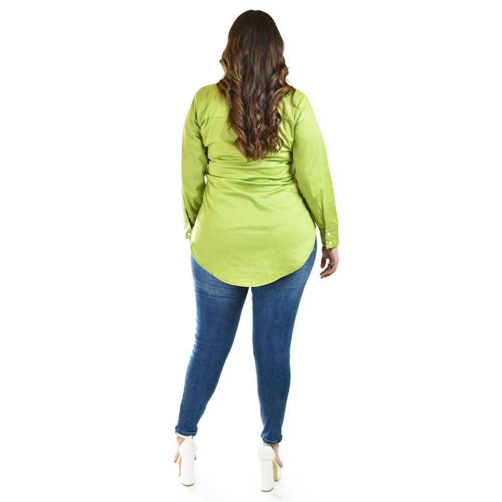 Camisa entallada Roman Fashion /Tallas Extras, 9512 (Pistache)