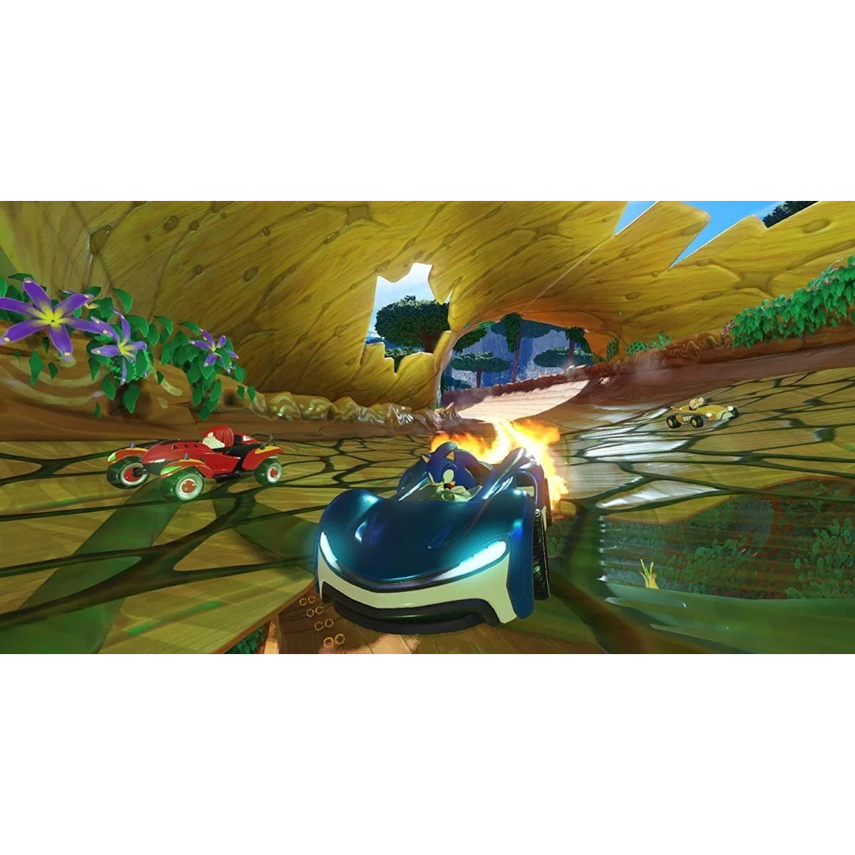 Nintendo Switch Juego Sonic Mania + Team Sonic Racing Double Pack