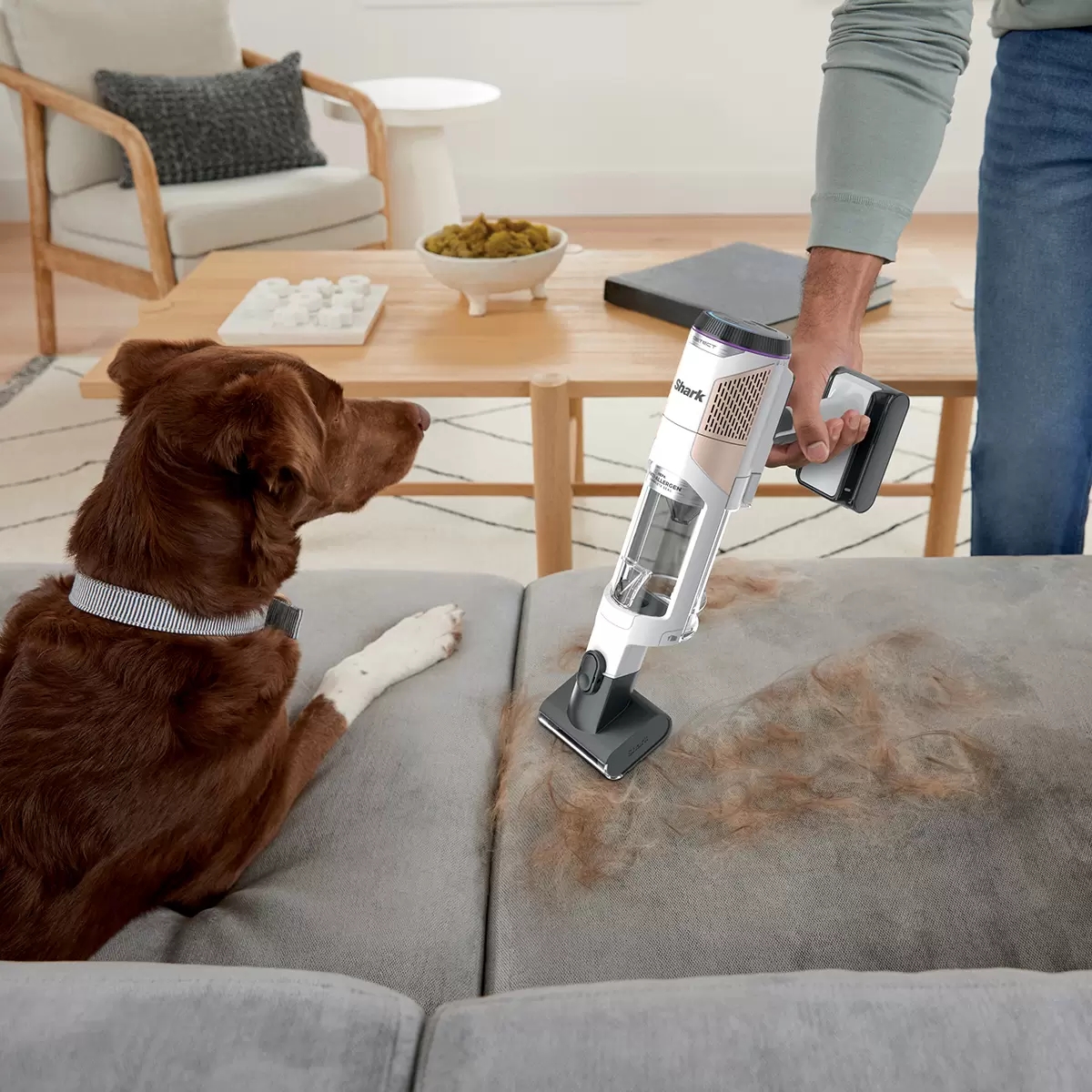 Aspiradora inalámbrica Shark  IW4625LAA Vaciado Automático Detect Clean & Empty