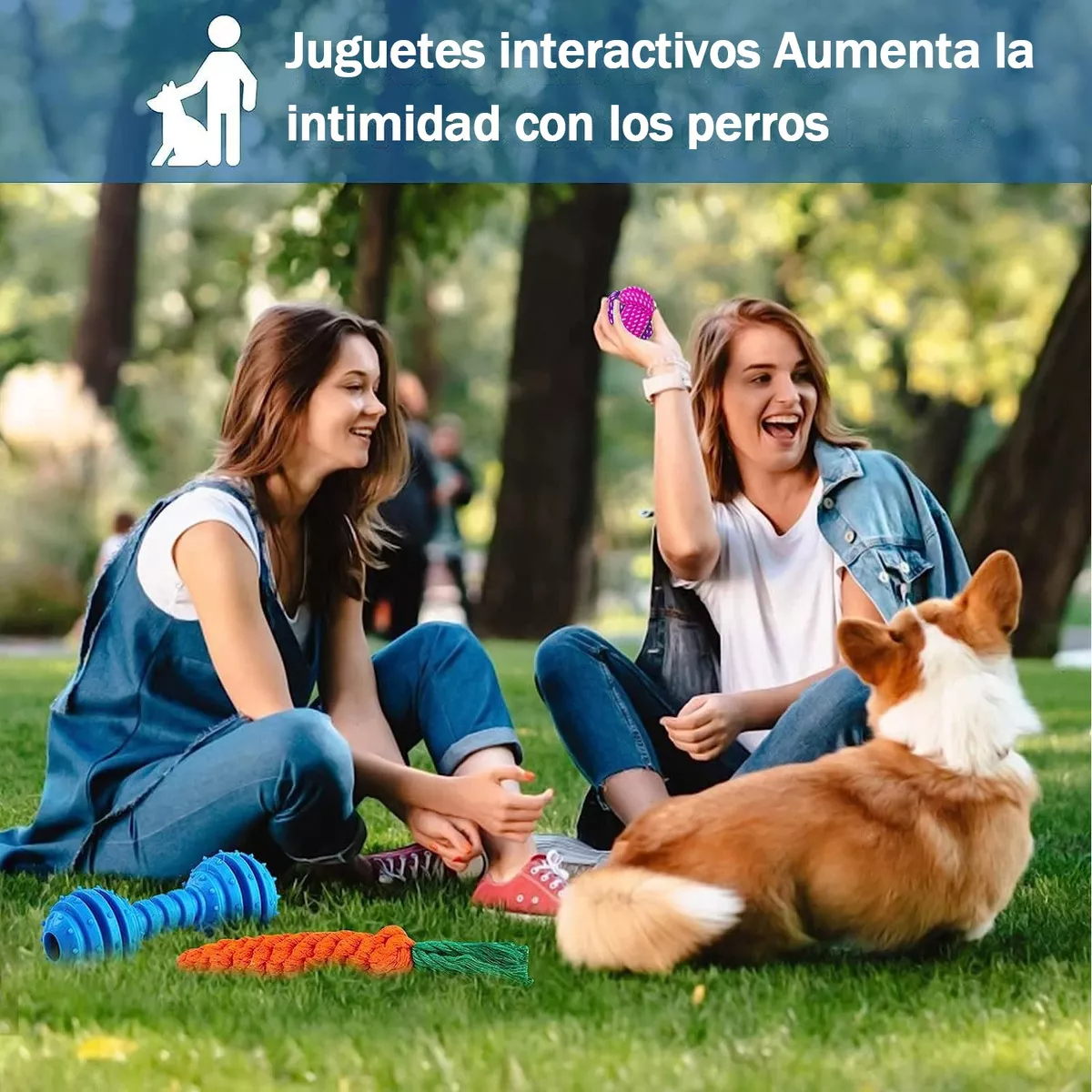 Cachorro Masticar Juguete Limpia Dientes Rechinar 10 Piezas