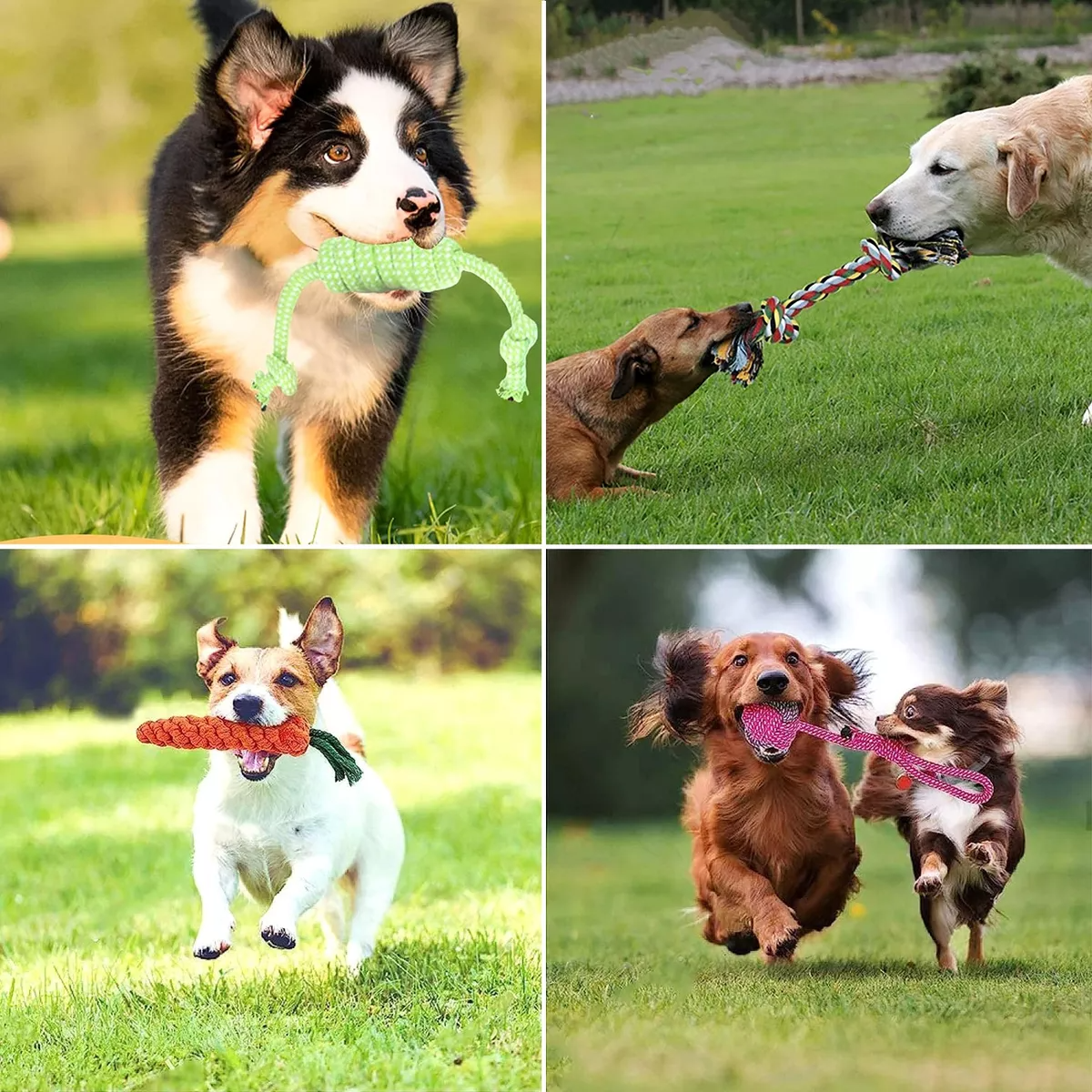 Cachorro Masticar Juguete Limpia Dientes Rechinar 10 Piezas