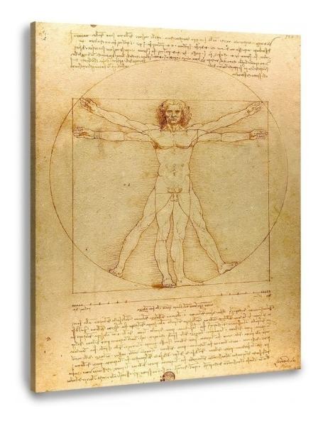 Hombre De Vitruvio Da Vinci Litografía Arte Original Italian