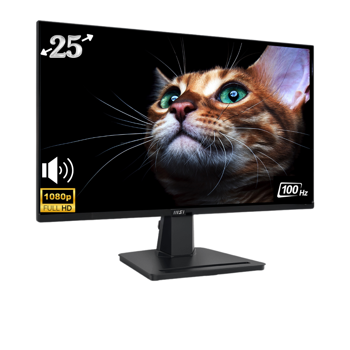 Monitor MSI PRO MP251 24.5" FHD IPS, 100Hz, 1ms, HDMI/VGA, Adaptive Sync, VESA, Altavoces, Negro