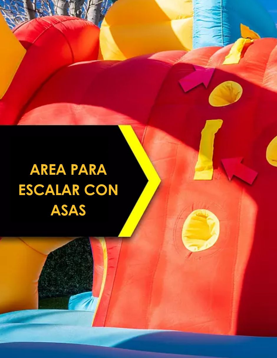 Trampolín Brincolín Inflable Arcoíris Con Pared Y Escalera