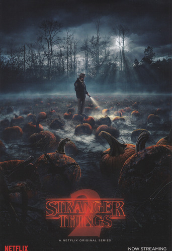 Stranger Things Season 1 Y 2 Soundtrack 2 Lp Vinyl + Poster
