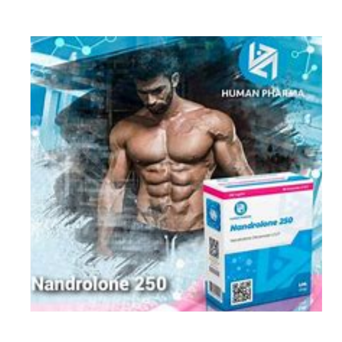 NANDROLONE 250 - Decanoato de Nandrolona - Inyectable - 250mg/ml 10ml - Human Pharma - Volumen masivo con soporte articular y recuperación total