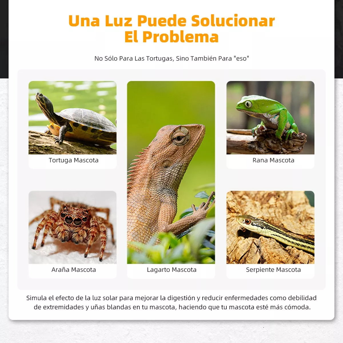 Lámparas De Calor Para Tortuga Reptiles 2 Bombillas Uva+uvb