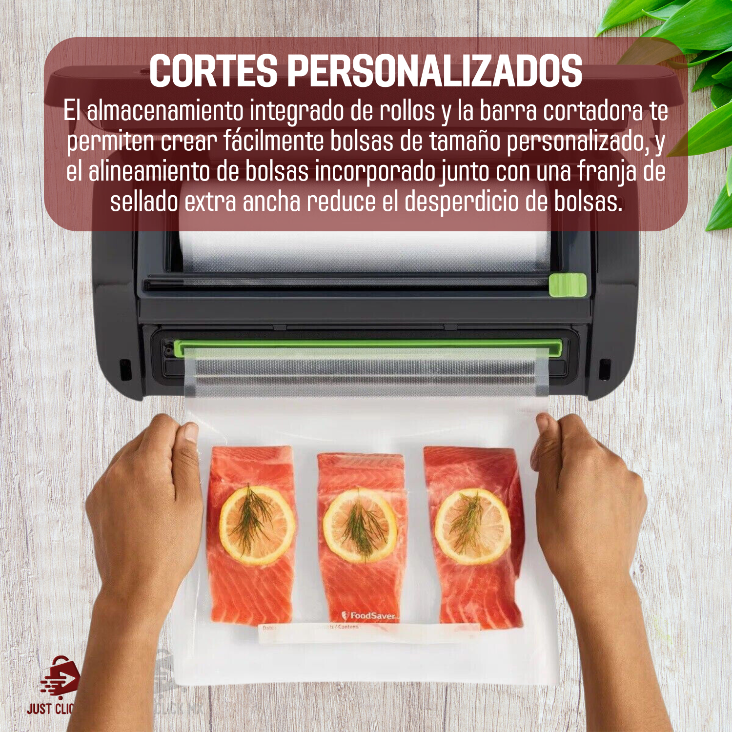Foodsaver Máquina Selladora Al Vacio Kit Con Rollos Y Bolsas