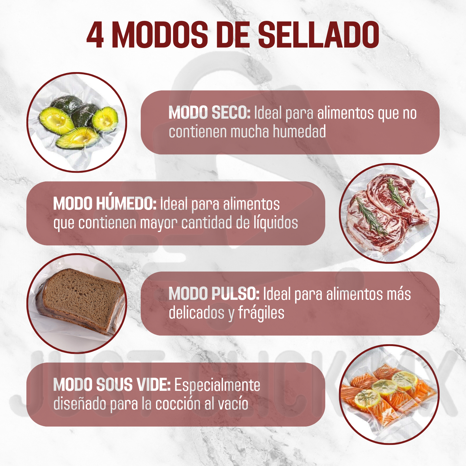 Foodsaver Máquina Selladora Al Vacio Kit Con Rollos Y Bolsas