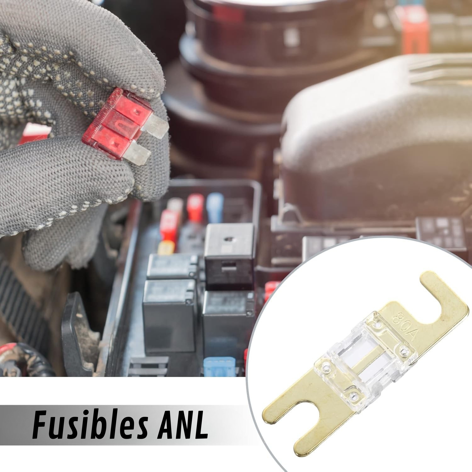 Pack Fusibles AFC Audiopipe AFC80 32V 80A Tipo Midi