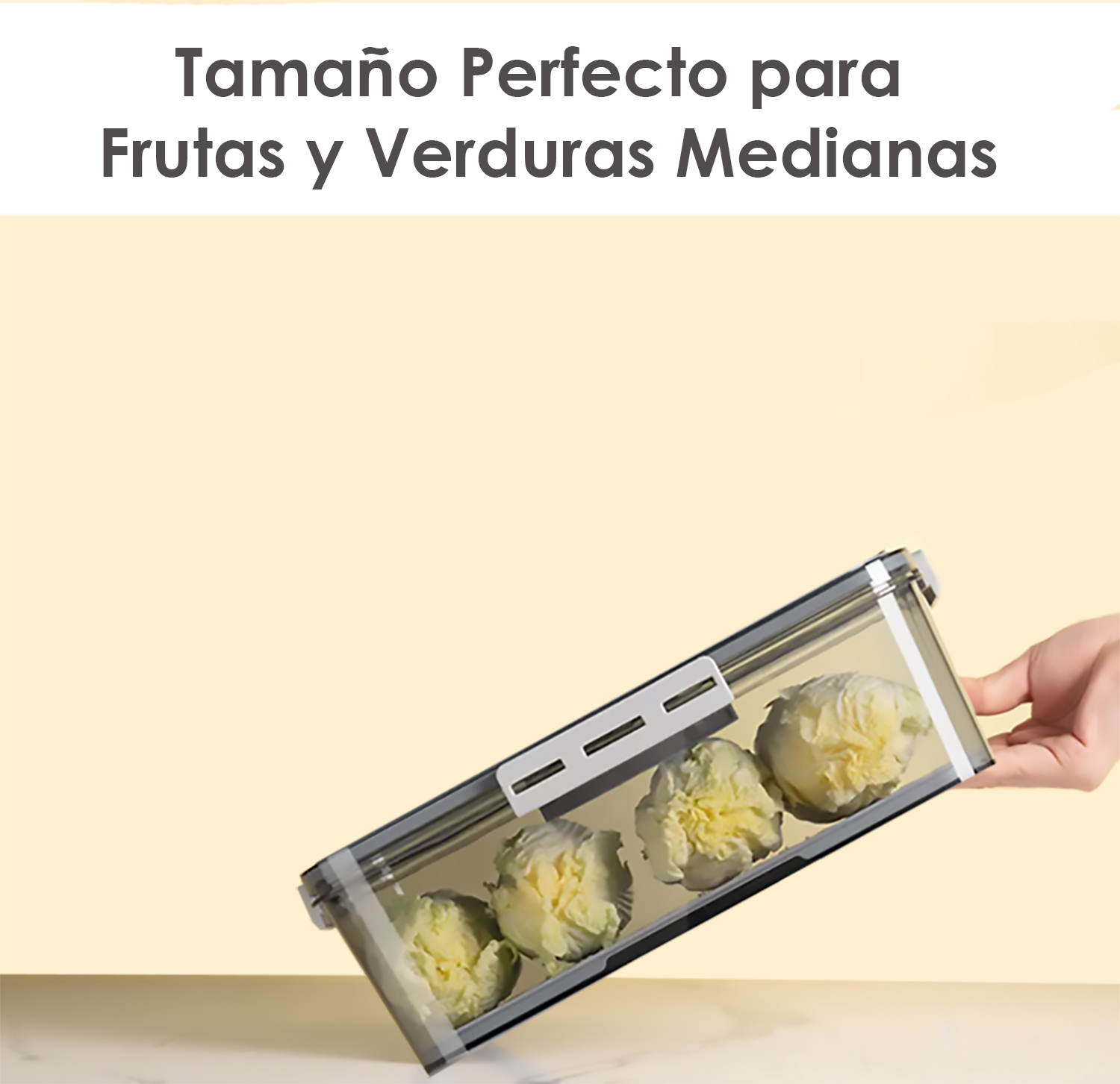 Recipiente Chico De Alimentos Para Refrigerador Con Tapa