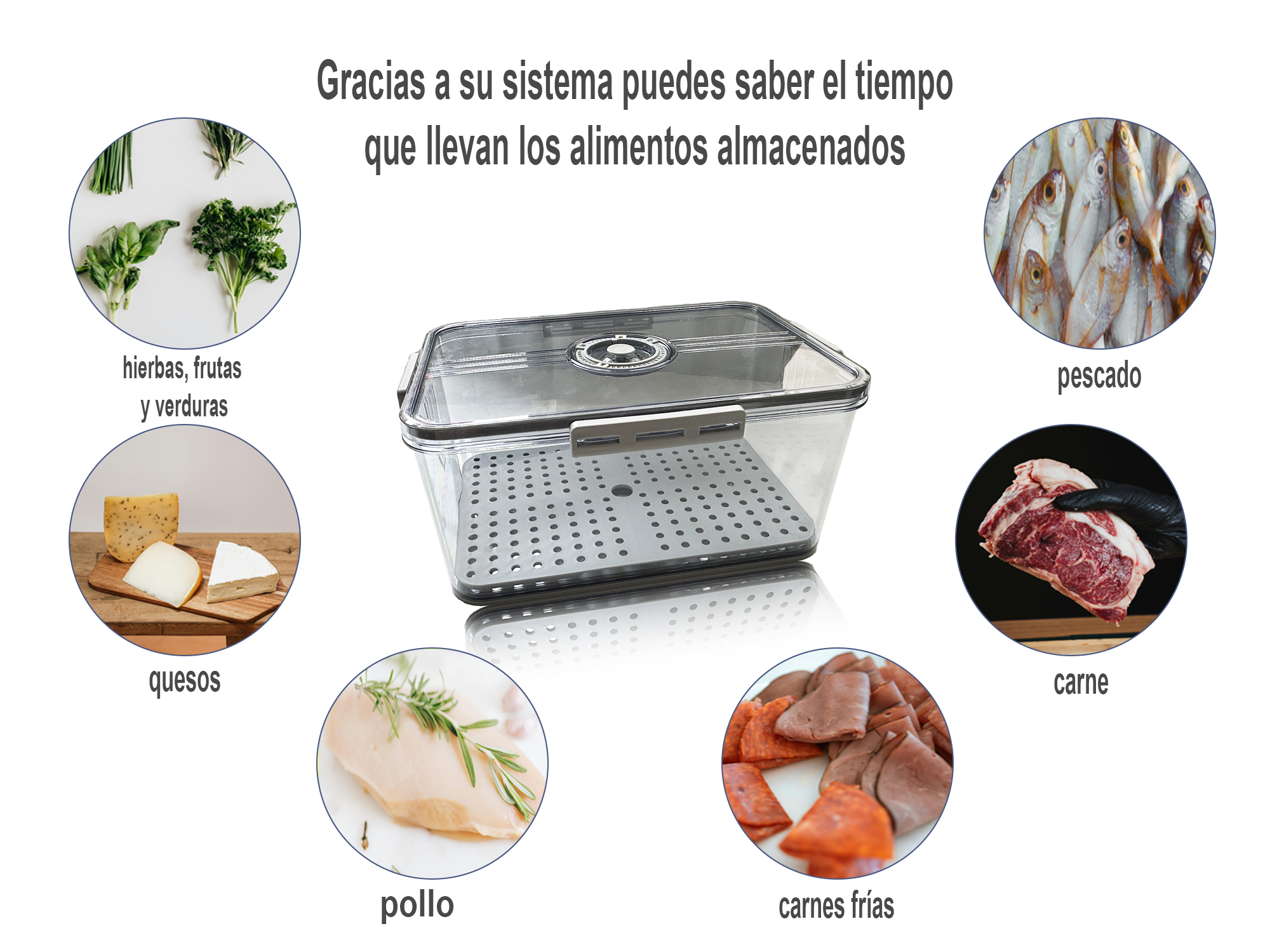 Recipiente Chico De Alimentos Para Refrigerador Con Tapa