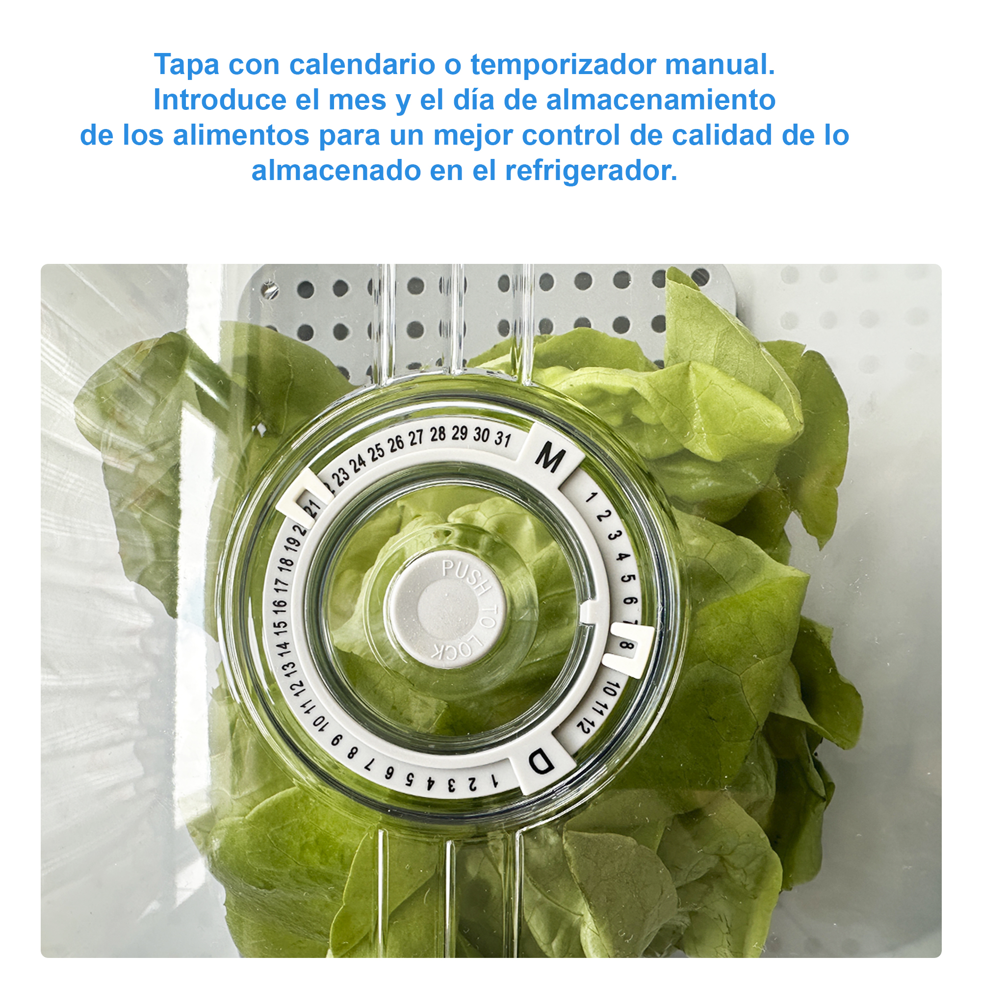 Recipiente Chico De Alimentos Para Refrigerador Con Tapa