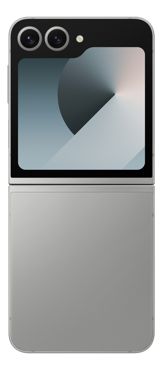 Samsung Galaxy Z Flip 6 Gris
