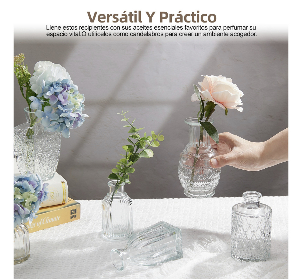 Juego De 12 Floreros Jarrones De Vidrio Cristal Transparente