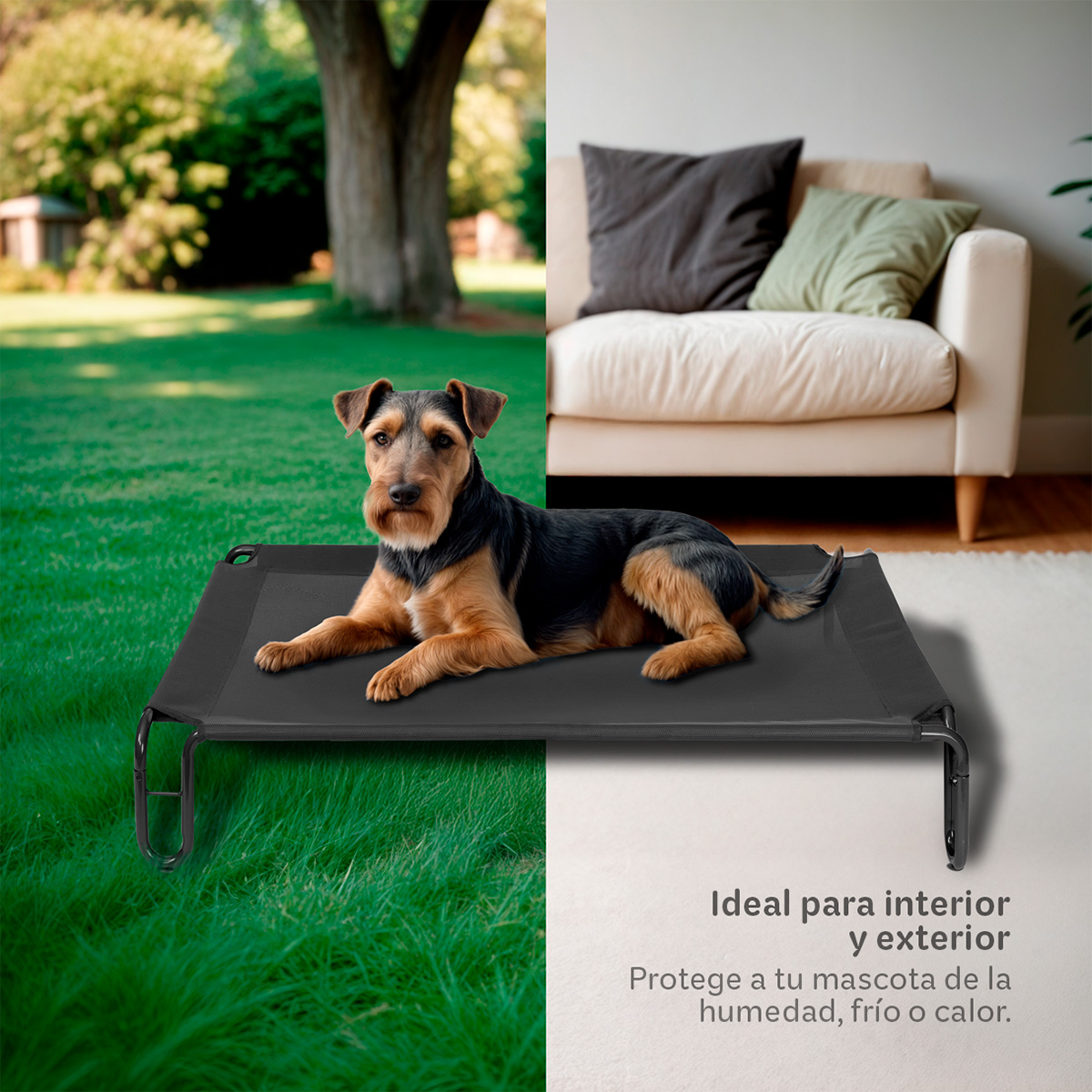 Cama Elevada para Perro Chico con Malla Transpirable ideal en Calor, Catre de Mascotas para Interior y Exterior Color Negro. ESQUIMAL