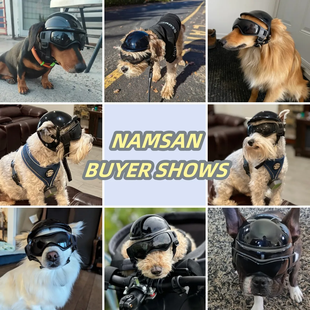 Casco Con Lentes Para Perro Pequeño A Mediano Para Moto