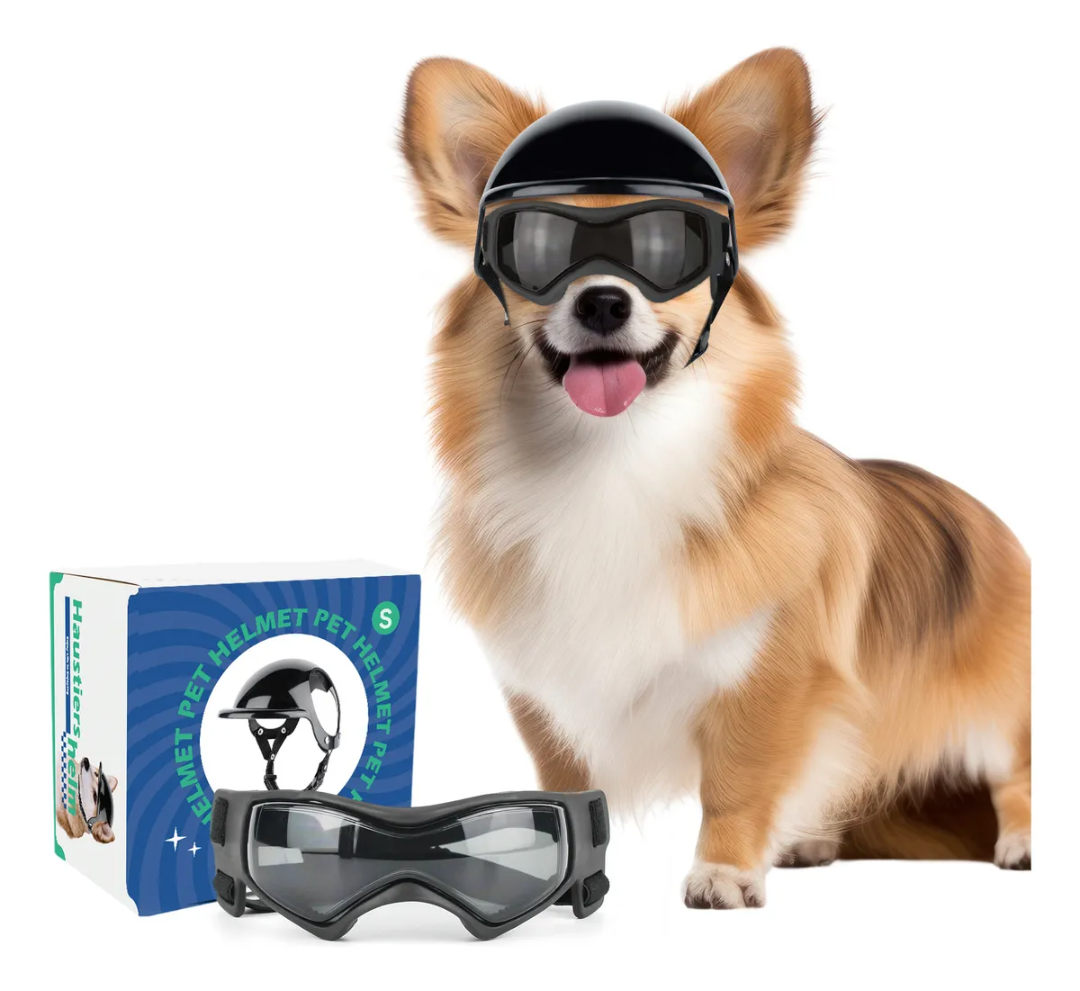 Casco Con Lentes Para Perro Pequeño A Mediano Para Moto