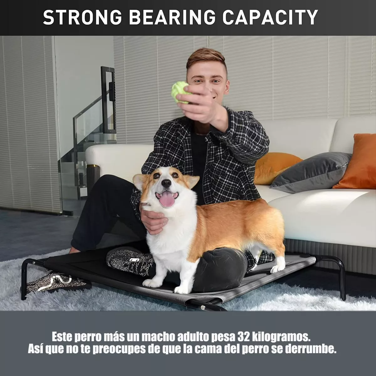 Camas Para Perros Grandes Portátil Para Mascotas Grande M