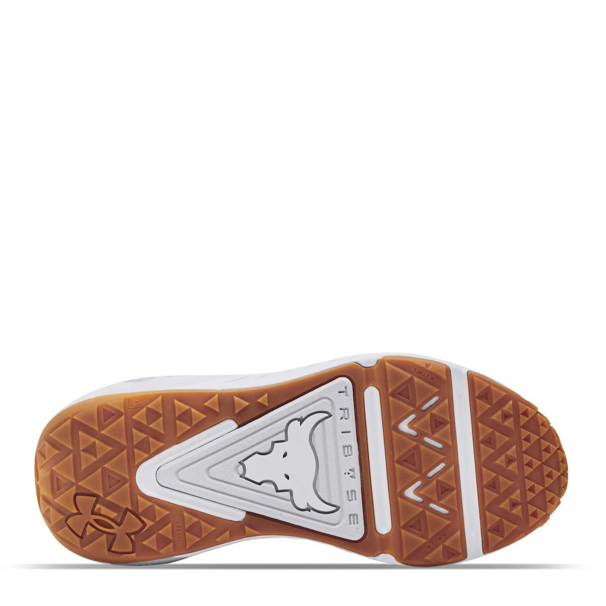 Tenis Under Armour Project Rock 6 W Training