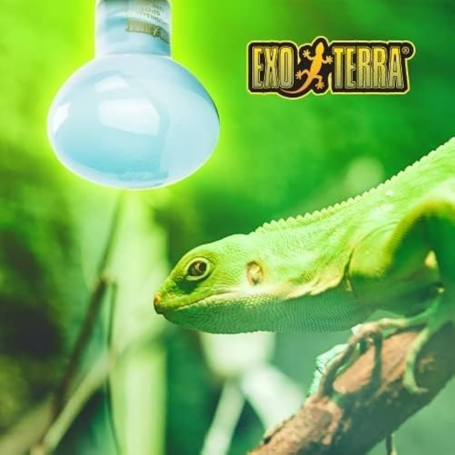 Foco Sun Glo Neodymium 50w Exo-Terra - Hagen