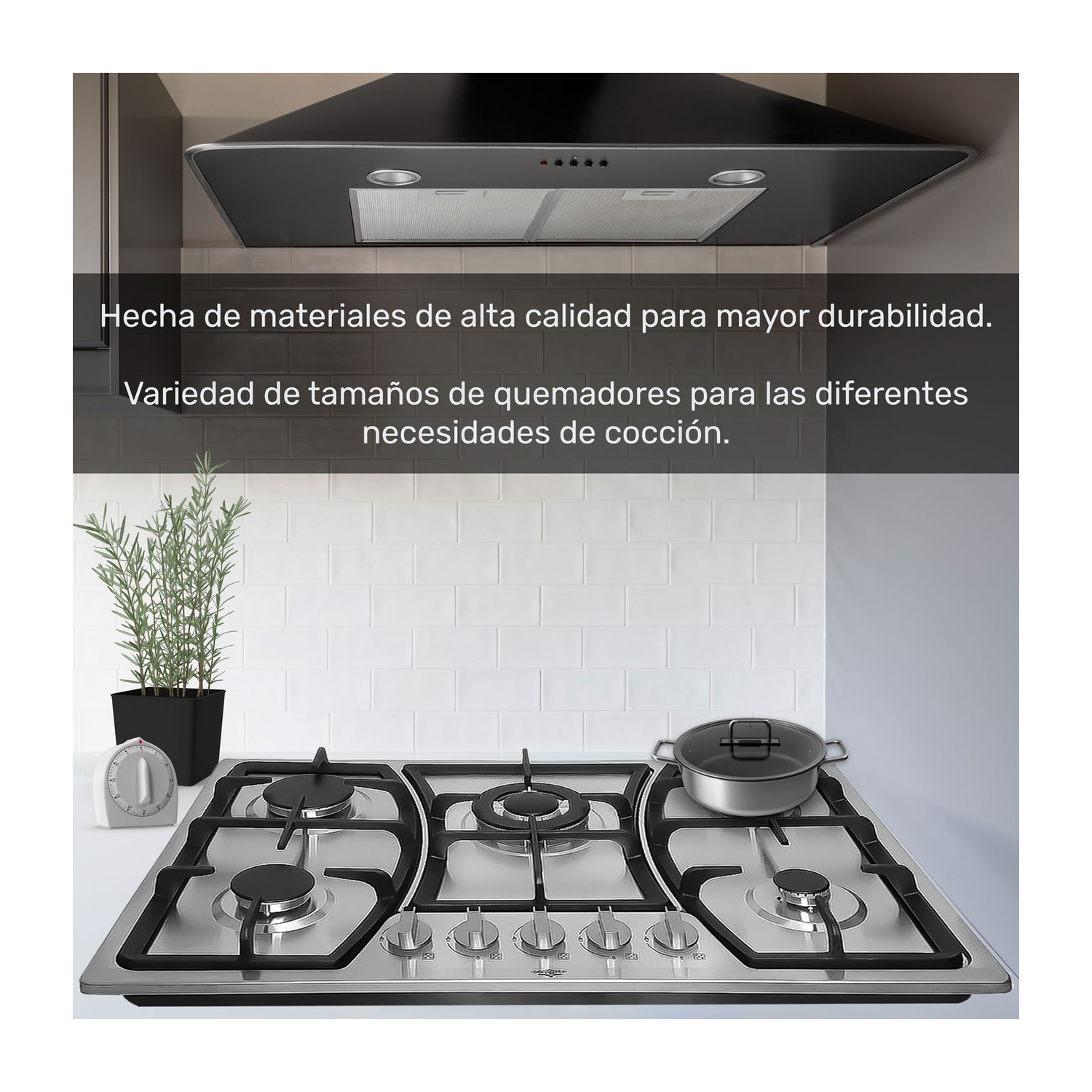 Parrilla Estufa de Gas 5 Quemadores Empotrable Acero Inoxidable Gutstark