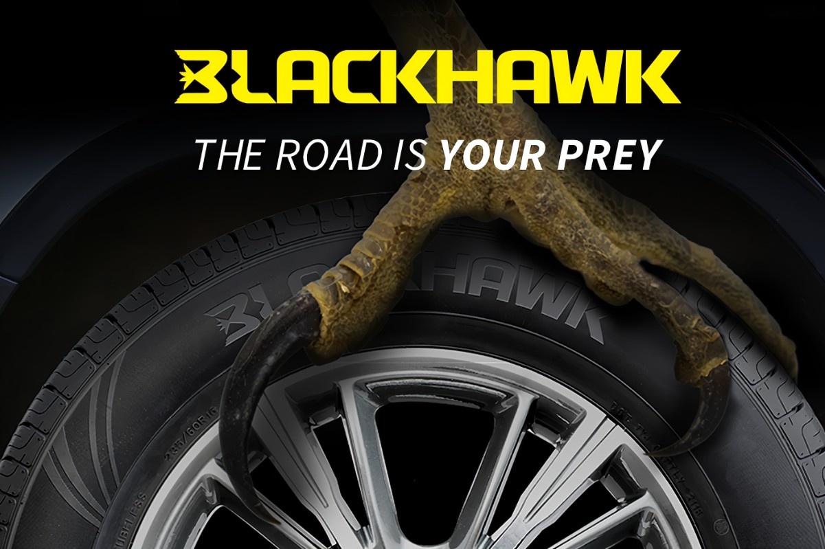 PAQUETE DE 2 LLANTAS 205 55 R16 BLACKHAWK HH11 VT 94V XL