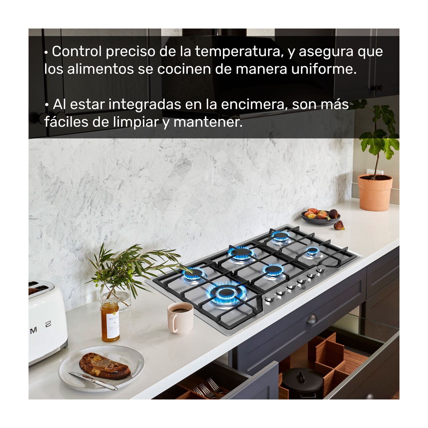 Parrilla de Gas 6 Quemadores Empotrable Acero Inoxidable Gutstark