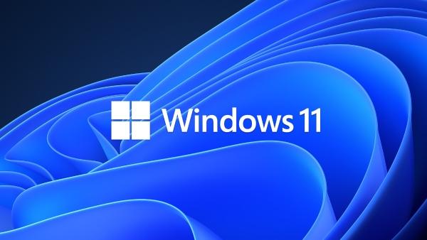 Microsoft Windows 11 Profesional, Licencia OEM