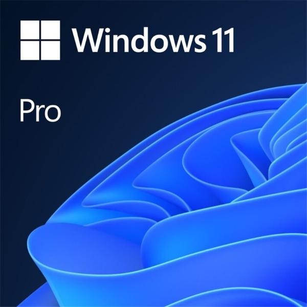 Microsoft Windows 11 Profesional, Licencia OEM