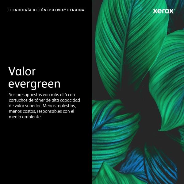 Xerox TAMBOR XEROX PARA VERSALINK B600/B605/B610/B615