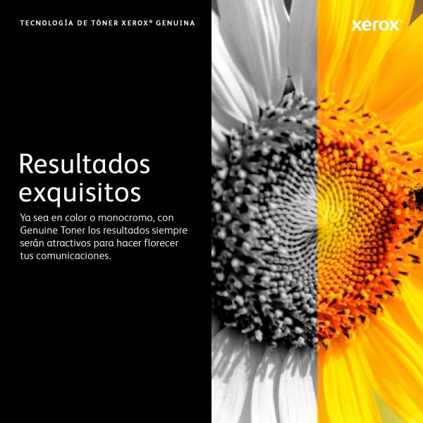 Xerox TAMBOR XEROX PARA VERSALINK B600/B605/B610/B615