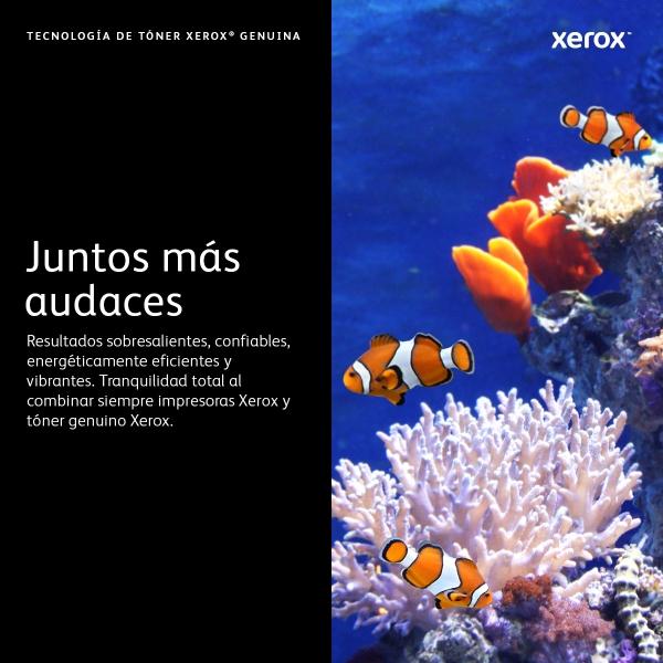 Xerox TAMBOR XEROX PARA VERSALINK B600/B605/B610/B615