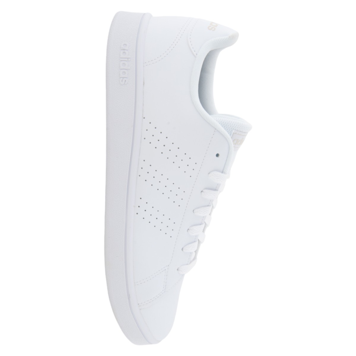 Tenis Adidas Advantage Base EE7692