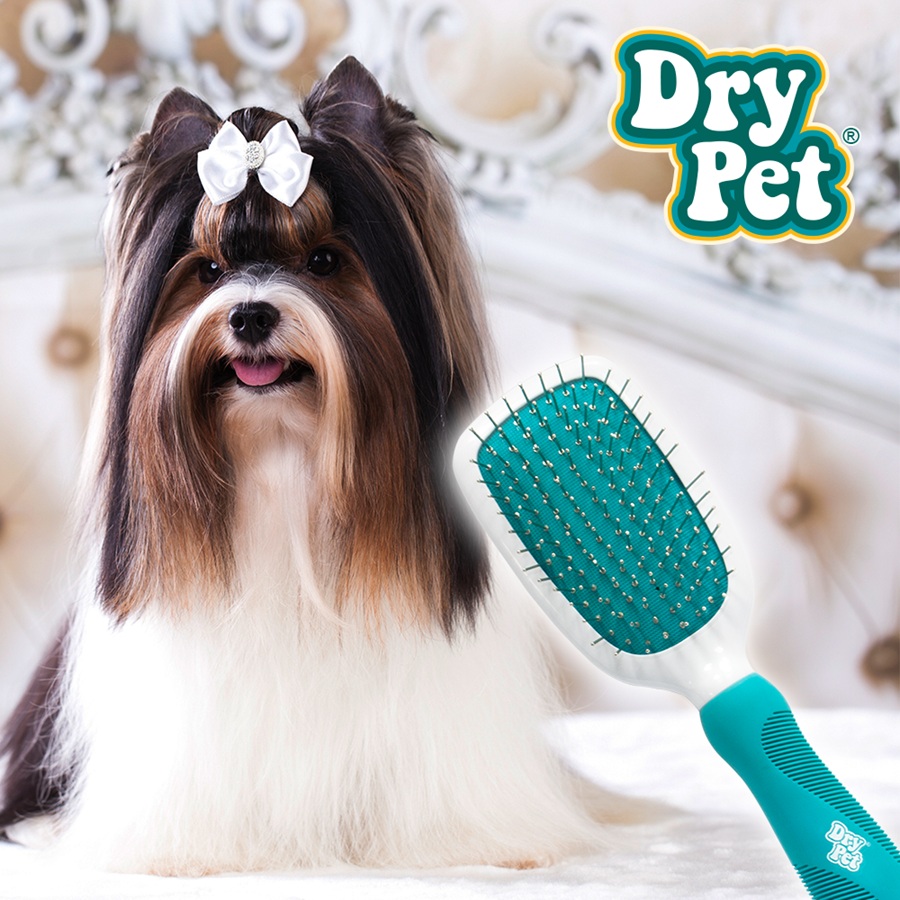 Cepillo Combinado CH - Dry Pet