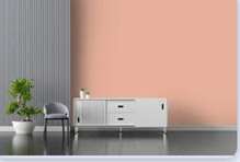 SAYER Pintura Vinil-Acrílica Neo CONTRACTOR 2 Años de Duración Para INTERIORES y EXTERIORES Cubeta - SALMÓN