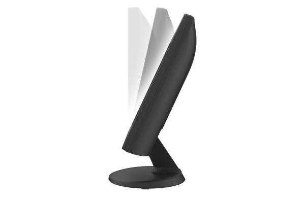 LG Monitor LG 19BA300
