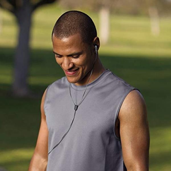 Sennheiser Consumer Audio HD 650 - Audiophile Hi-Res Open Back Dynamic Headphone, Titan
