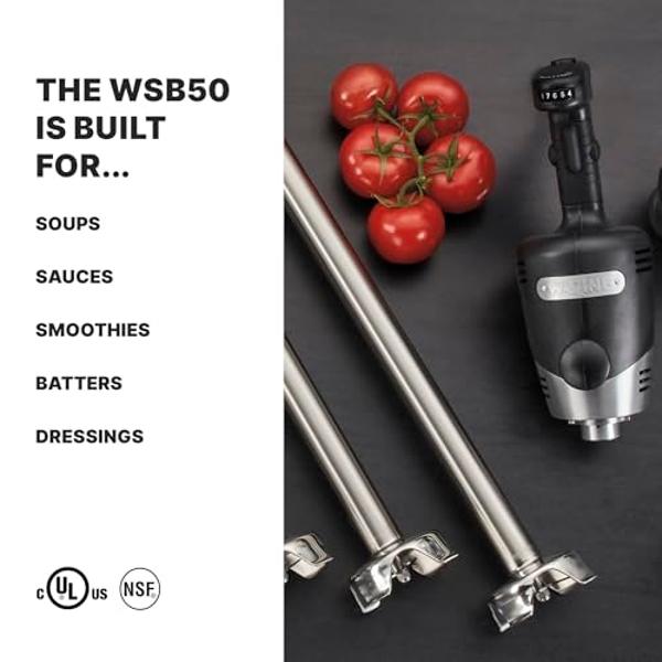 Waring Commerical WSB50 Big Stix Heavy Duty Immersion Blender, 12" Removable Shaft, 1 HP/700 Watt Variable Speed Motor, 120V, 5-15 Phase Plug,Black/Silver