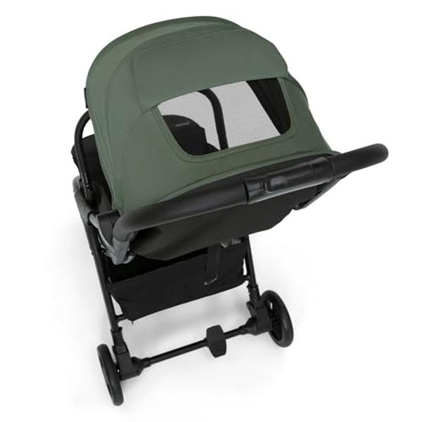 Gladly Family Anthem 4 Quad All-Terrain Wagon Stroller Adventure Bundle, Forest